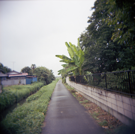 holga004.jpg