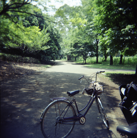 holga006.jpg